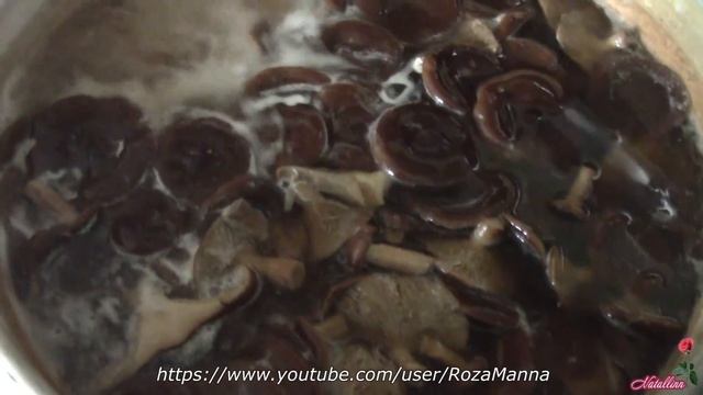 Маринованные грибы горькушки. Рецепт моего мужа смотреть онлайн