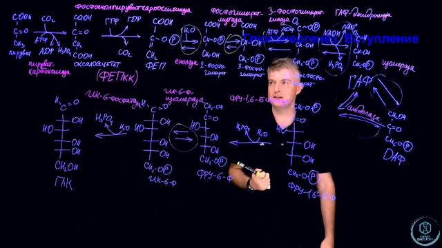 SmartLearn: Дмитрий Косенков "Токсическое действие этанола" смотреть онлайн