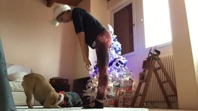 Christmas Pilates/Yoga out takes petitpoisparis nathaliebalesi.com смотреть онлайн