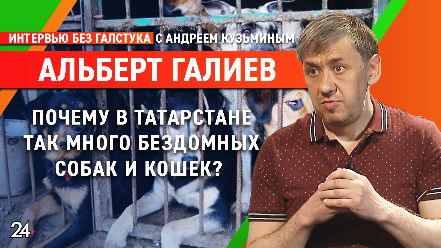 «Когда собака бывает кусачей?» / глава приюта «Пес и кот» Альберт Галиев– Интервью без галстука смотреть онлайн