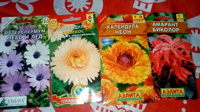 ОБЗОР СЕМЯН ЦВЕТОВ 2019г.
