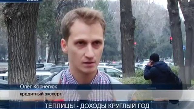 Теплицы доходы круглый год смотреть онлайн