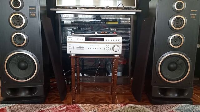 SONY SS-N350DX HOPARLÖR смотреть онлайн