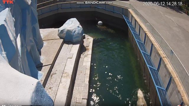 Кай сегодня блаженствует 12.06.2020 смотреть онлайн