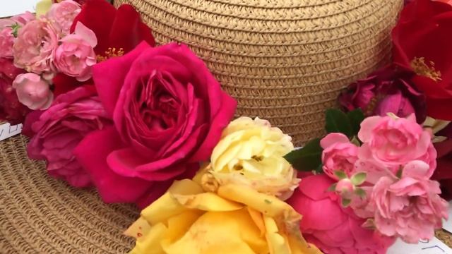 ЦВЕТЕНИЕ РОЗ из питомников «Элит», «Магия роз», «Долина роз», «Агромаркет 24» смотреть онлайн