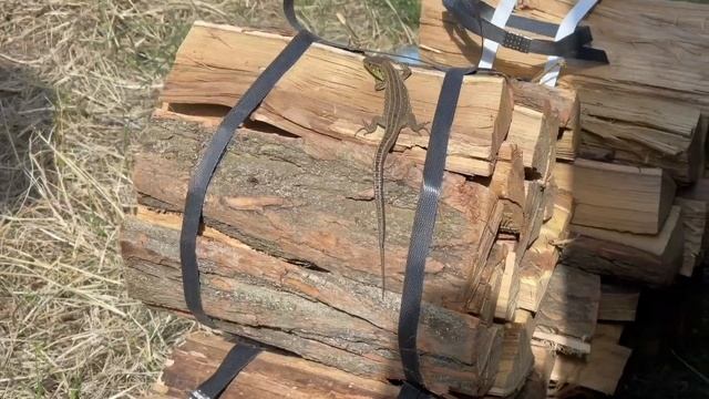 Рыбалка Приморско-Ахтарск День первый смотреть онлайн