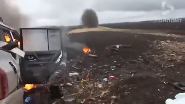 Номинанты на премию Дарвина смотреть онлайн