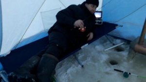 Печка в палатку. Палатка куб.