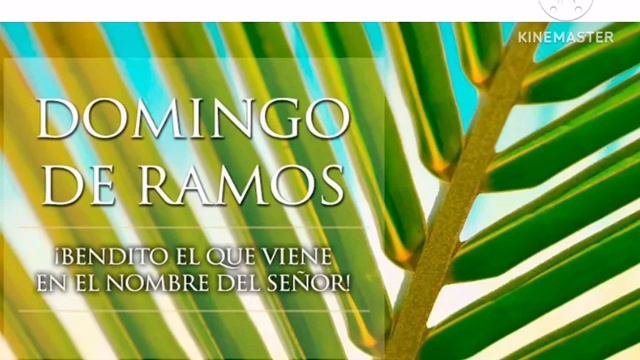 HOSANNA AL HIJO DE DAVID - Canta Juan Manuel Flores Castro смотреть онлайн