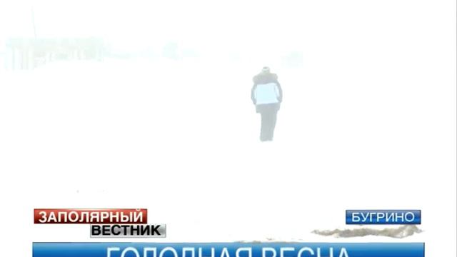 Специалисты АПК провели совещание на Колгуеве смотреть онлайн