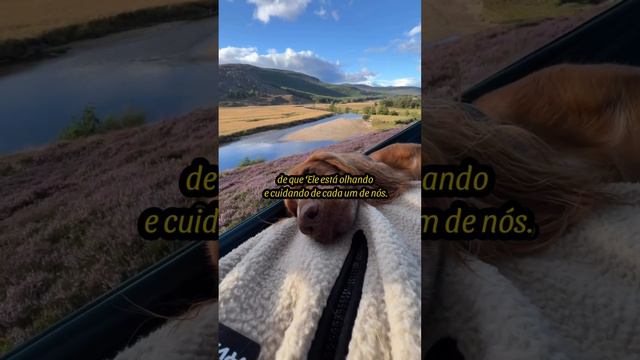 MENSAGEM DE BOM DIA смотреть онлайн