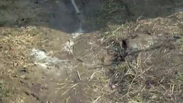 16 12 2007 069 смотреть онлайн