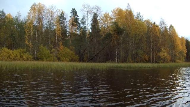 Рыбалка в Карелии- Озеро- Чогозеро- 7. 10 .2017 г смотреть онлайн