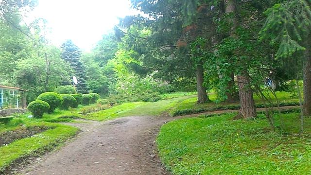 Stepanavan Dendropark Ստեփանավանի դենդրոպարկ смотреть онлайн
