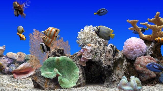 Aquarium Relax (LG Smart TV) смотреть онлайн