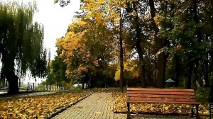 ЖИВОПИСЦЫ