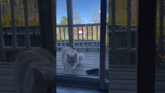 Новый подъедатель смотреть онлайн