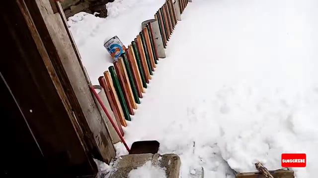 Погода меняется каждый день, Бимасик злиться. смотреть онлайн