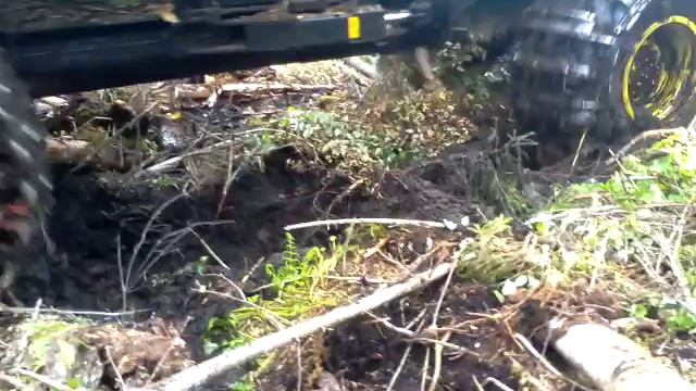 работа форвардера смотреть онлайн