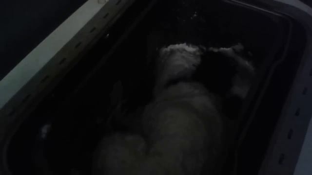 Психологические Техники и Методы