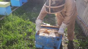 Однорамочний відводок через рік!