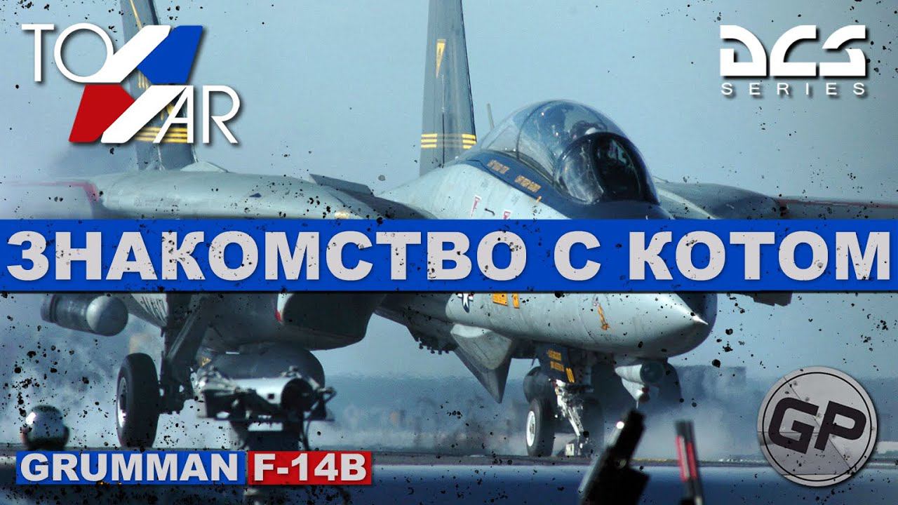 F-14B Tomcat Знакомство с Котом (DCS World) #TomWar 1 #F14 смотреть онлайн