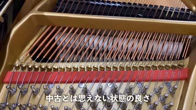 世界中のコンクールでその名を轟かせるイタリアの超高級ピアノが凄すぎた【ファツィオリ】 смотреть онлайн