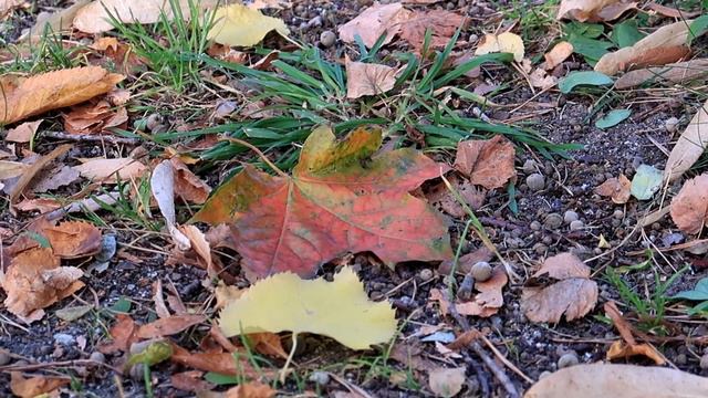 В КРУГОВОРОТЕ ДНЕЙ✯ОДА ОСЕНИ✯ВЛОГ#JsLN смотреть онлайн