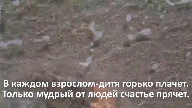 Сколько б не было вам лет - не грустите. ☝Очень стих понравился!