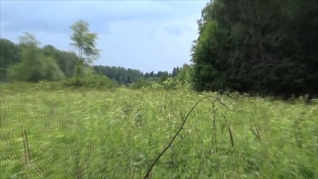 Поход на озеро Чёрное. смотреть онлайн