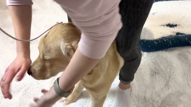 Дени и Мэни разгромили квартиру ! Убирались 5 часов.