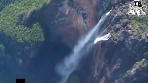 Их нравы (Пенёк ТВ, 10.07.2022)