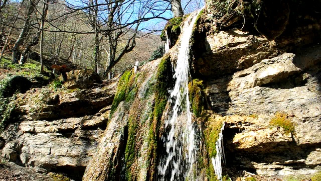 DSC_0843 смотреть онлайн