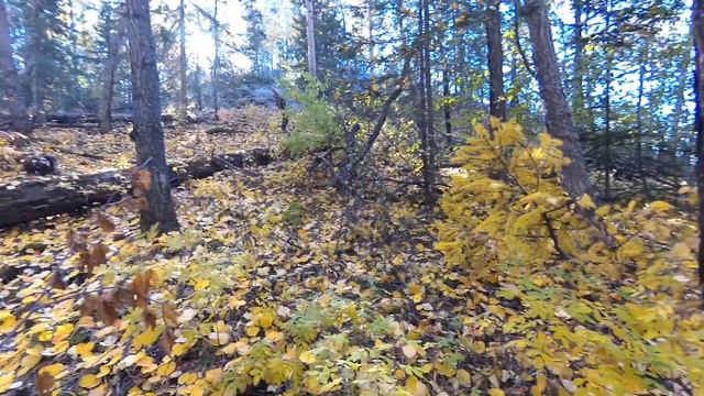 Хребет Ряжи. 22 сентября 2018 г. смотреть онлайн