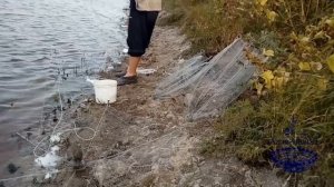 Заброс хапуги малявочника с берега