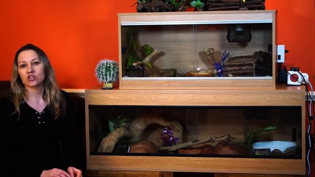 Ball Python Vivarium Setup #3. Substrate and humidity смотреть онлайн