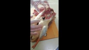 Вяленый гусь