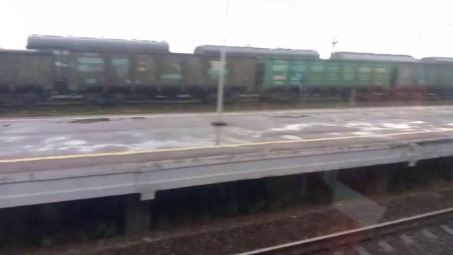 Электропоезд эт2м-128 До станции Санкт-Петербург и Электровоз 2эс4к-017 с Грузовым поездом Мга смотреть онлайн