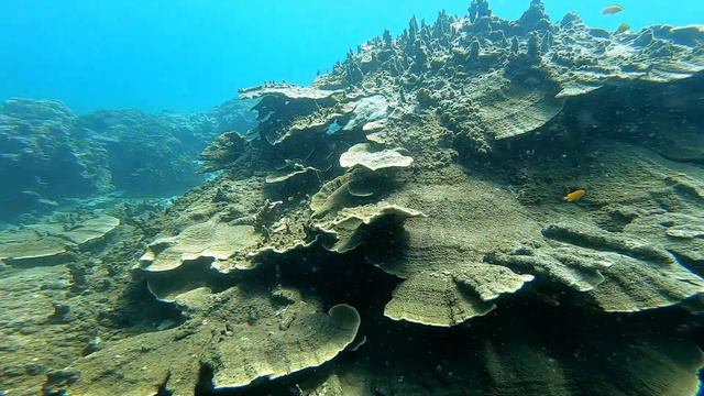 Таиланд, о.Пхукет (декабрь 2019) смотреть онлайн