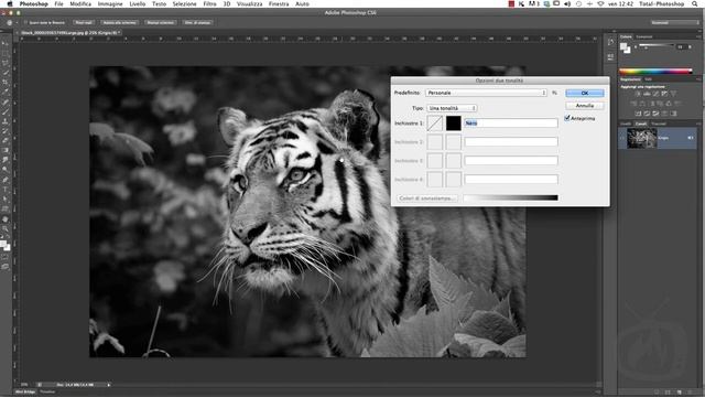 Photoshop CS6 - Convertire immagini da RGB a due tonalità смотреть онлайн