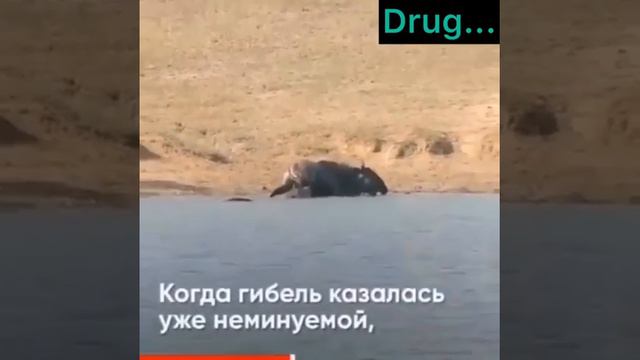 ☝️☝️☝️☝️☝️ друг не тот с тобой пьёт , друг эта трудном время тебя понимающие. ХМмм смотреть онлайн
