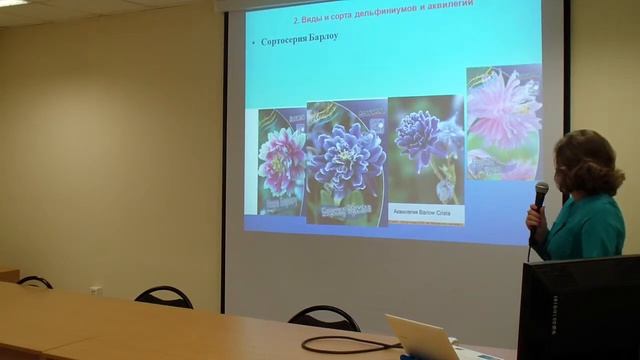 Многолетние цветы в Предбайкалье смотреть онлайн