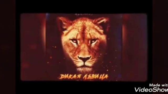 Alex&Rush 🦁🔥 Russian 🐅Song🎵 Superhit🎶 ringtone TikTok🔥Famous 🐯 смотреть онлайн