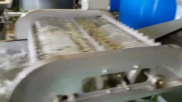 Южная Корея работа. 2 часть про пекинскую капусту