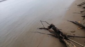 Установка Перемета на Судака Щуку с Искусственной приманкой