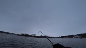 Зимний спиннинг на лайтовый дальнобой Crazy Fish Arion 962 MLS.