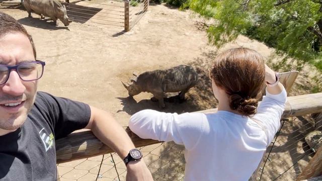Checking Out The San Antonio Zoo! | San Antonio, TX | смотреть онлайн