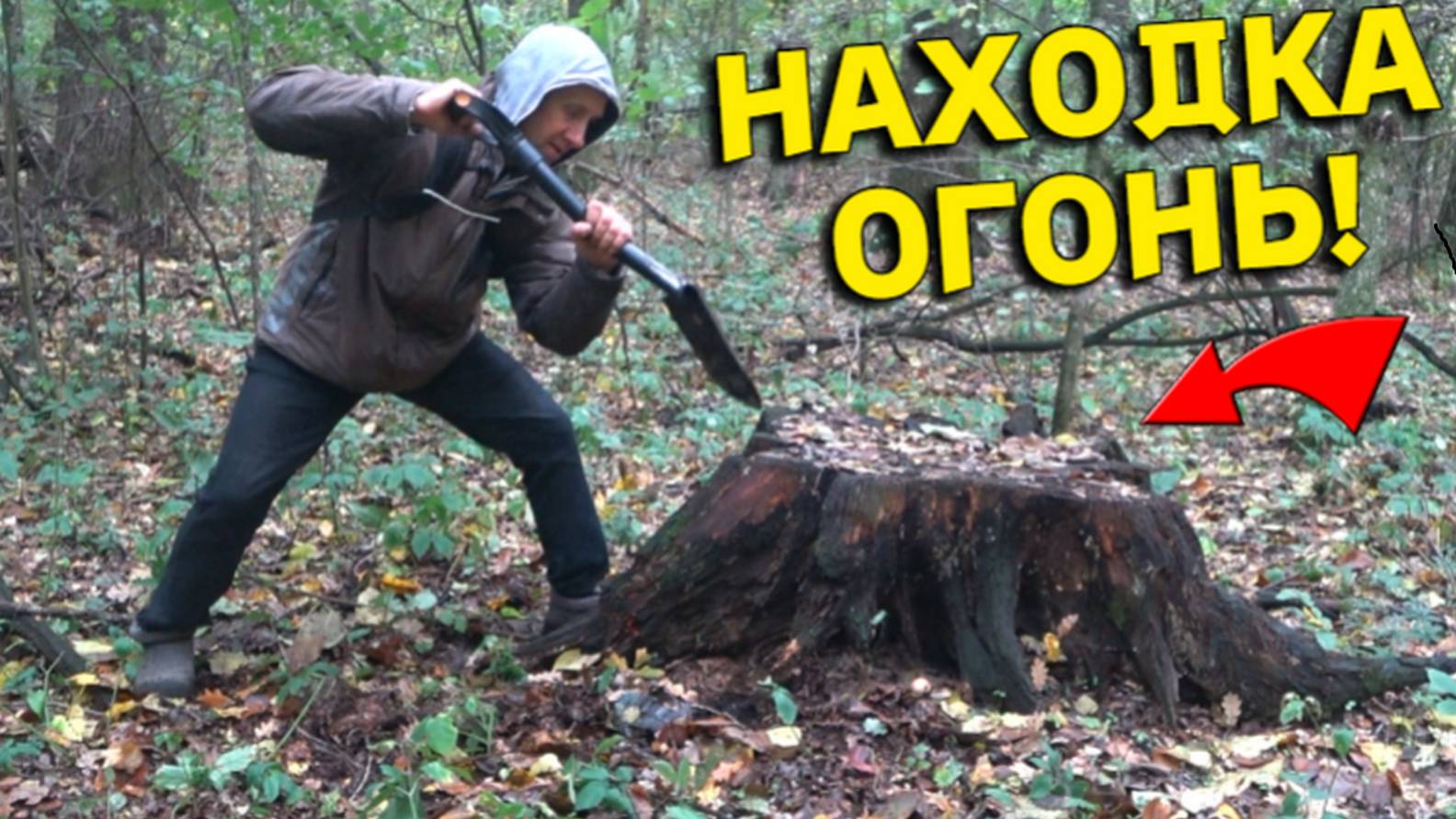 Шикарная НАХОДКА под Старым ДУБОМ порадовала не по ДЕТСКИ, почаще бы так ВЕЗЛО на Копе!!! смотреть онлайн