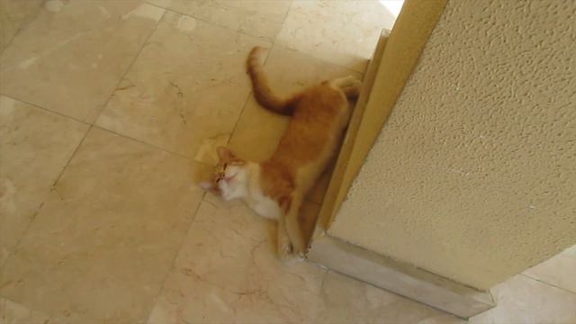 Поездка на море 2 часть:=) смотреть онлайн