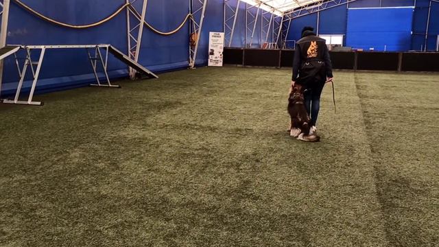 Unerschrocken Izzi (начало обучения позиции рядом) смотреть онлайн